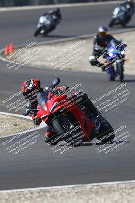 media/Sep-20-2025-TrackDaz (Sat) [[27f0cde673]]/C Group/1040am (Turn 3)/